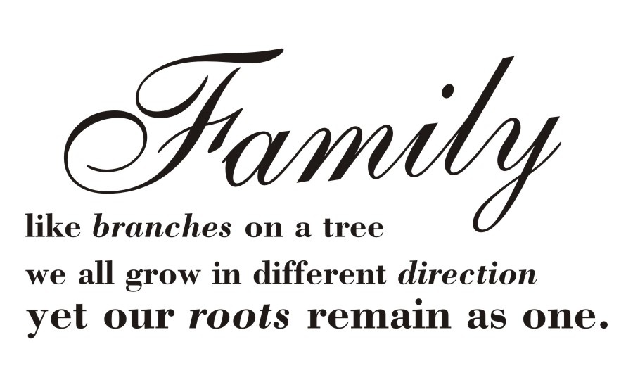  Napis na ścianę, naklejka - Family like branches on a tree... -  51