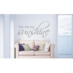  Napis na ścianę, naklejka - You are my sunshine - 106