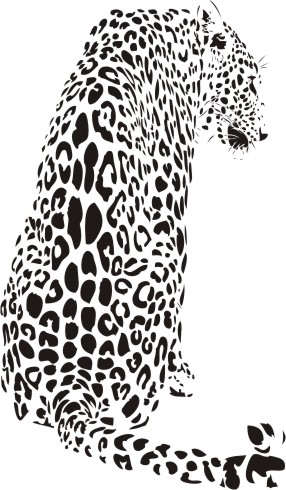 Dzikie koty 21 - lampart - 120 x 72 czarny - Wyprzedaż