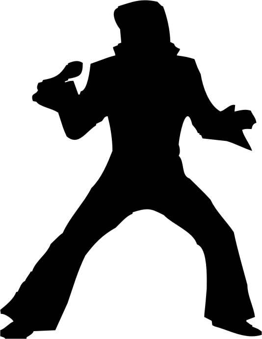 Naklejka na ścianę - Elvis 2