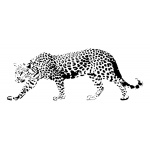  Leopard - Szablon malarski wielorazowy