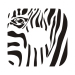  Naklejka pod kontakt / kontakty Zebra 1